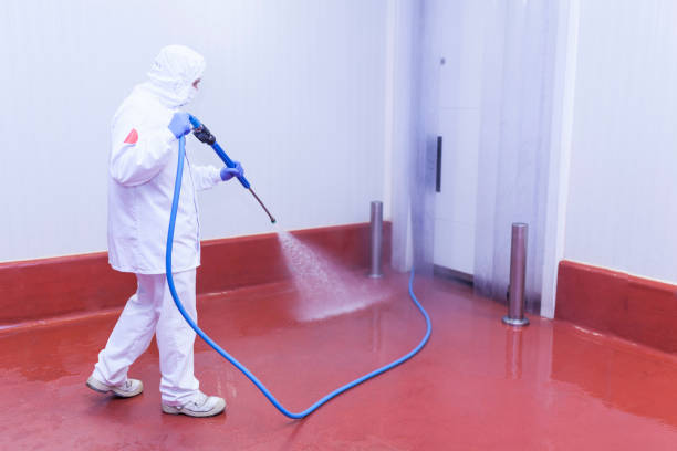 Best Rust Removal  in Haverford College, PA